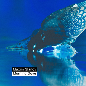 日本学生初尝黑人巨免费视频
