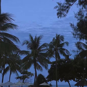 日本学生初尝黑人巨免费视频
