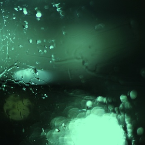 日本学生初尝黑人巨免费视频
