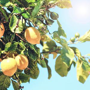 日本学生初尝黑人巨免费视频
